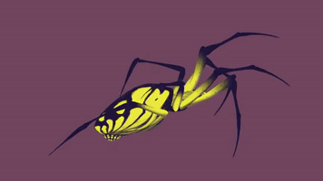 200.gif?cid=fc005b087776089c9b74b86ab680b8bd7912e12100a061db&rid=200.gif&ct=g