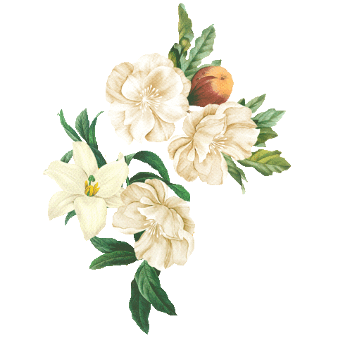 Dolce Vita Flor Sticker by Aquamar Rio