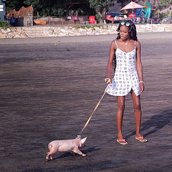 giphy.gif?cid=9b38fe9111129cf6d0956231d5