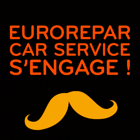 EuroreparCarServiceFrance GIF