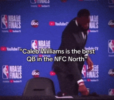 Green Bay Packers GIF
