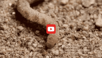 GIF by KQEDScience