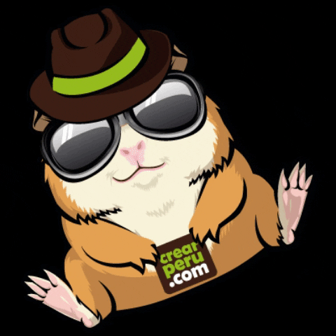 Crearperu.com GIF