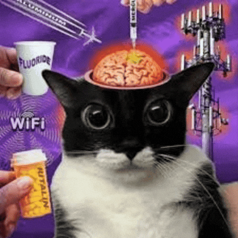 Cat Drugs GIF
