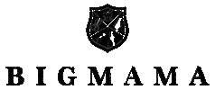 Logo Band Sticker by BIGMAMA = Rock + violin