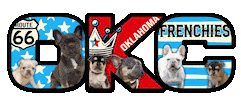 French Bulldog Sticker by OKC Frenchies