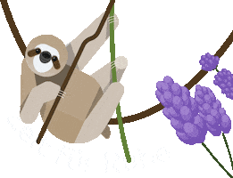 Relax Sloth Sticker by Lebensbaum