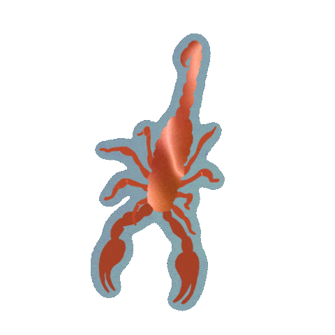 Zodiac Sign Birthday Sticker