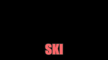 ski  GIF