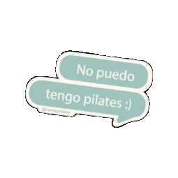 Naroa Pilates Sticker