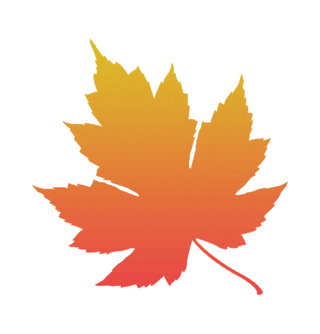 Fall 가을 Sticker by Medalgo