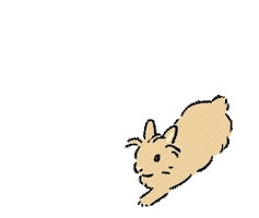 Bunny Rabbit Sticker