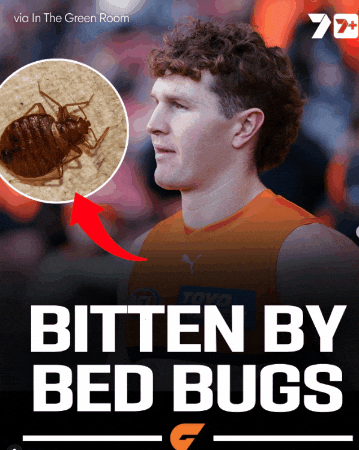 Tom Green Gws Giants GIF