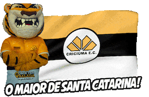 Criciuma Sticker by OndeTemBalada