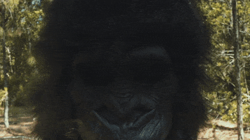 Merge Records Mushroom GIF by Spider Bags