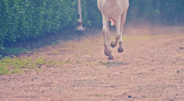 Chand Jalne Laga GIF