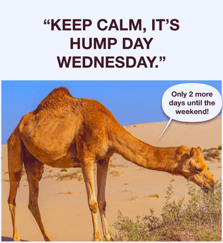 Keep Calm Its Wednesday Hump Day GIF