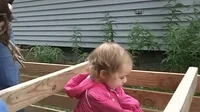 kurczak przytula GIF