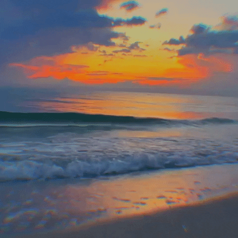 Beach Ocean GIF by Yevbel