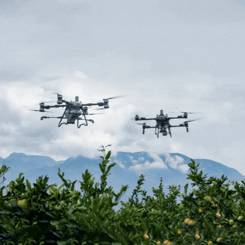 Drone GIF by Agrs Drones Agrícolas