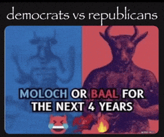 Politics Democrat GIF