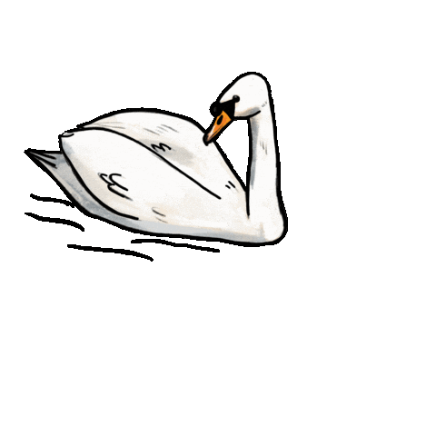 Birdtalk Sticker by girlinwhiteglasses