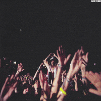 music festival party hard GIF
