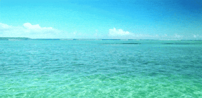 water sea GIF