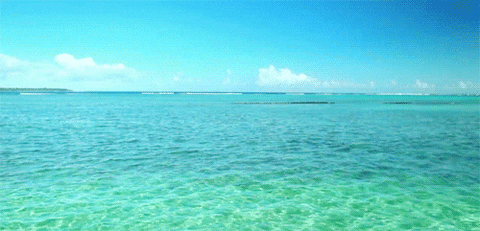 Ocean View GIFs - Get the best GIF on GIPHY
