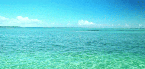 Sea GIFs Get The Best GIF On GIPHY