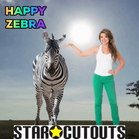 Wildlife Zebra GIF by STARCUTOUTSUK