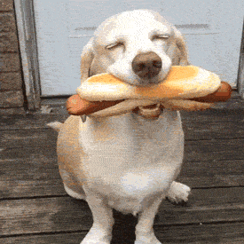 happy hot dog GIF