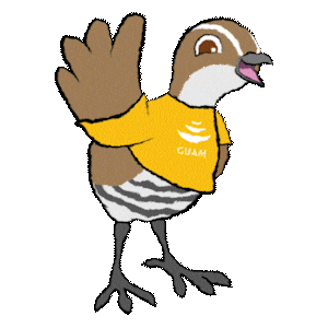 Kika Kiko Sticker by Visit Guam