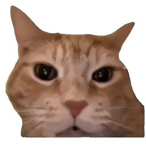 Cat Laughing Sticker