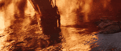 Fire Japan GIF by Assassin's Creed