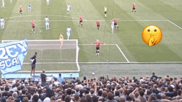 Víkingur Reykjavík GIF