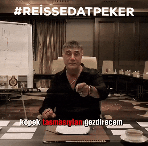 Racon Peker GIF by adajrmusic