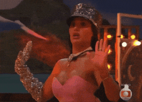 Big Brother Brasil Bbb GIF