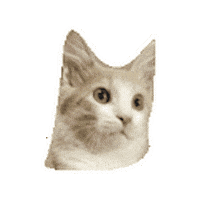Animated Sticker