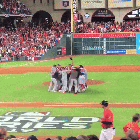 World Series GIF by Storyful