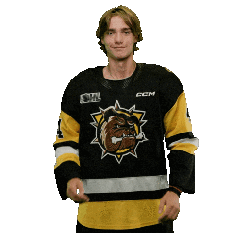 Brantford Bulldogs Sticker