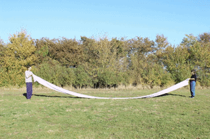 Ooh0 #Mushroomsilence GIF