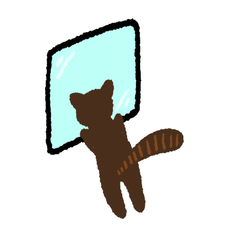 Cat Sticker