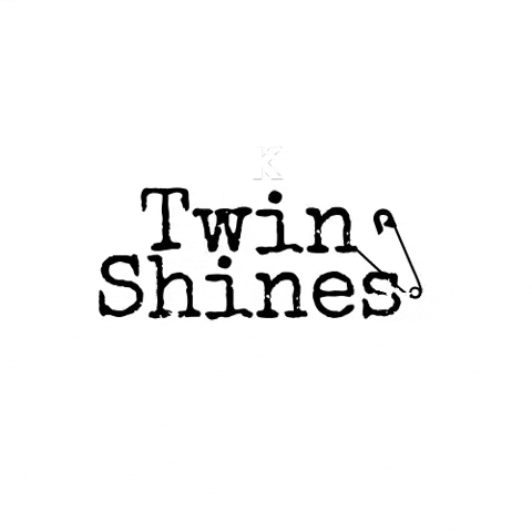 twinshines upcycle GIF