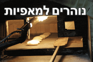 towerof-david  GIF