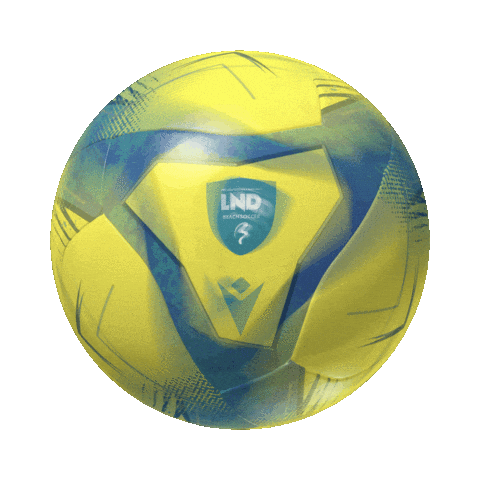 Beach Soccer Sticker by Lega Nazionale Dilettanti