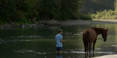 lean on pete GIF by A24