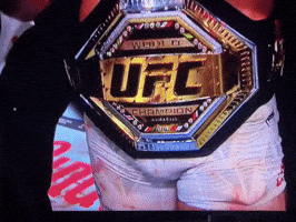 And New Ufc GIF
