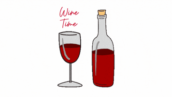Red Wine GIF by The Cool To Be Kind Project