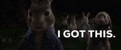 I Got This Sony GIF by Peter Rabbit Movie
